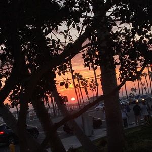 Meet your Posher, Sausan